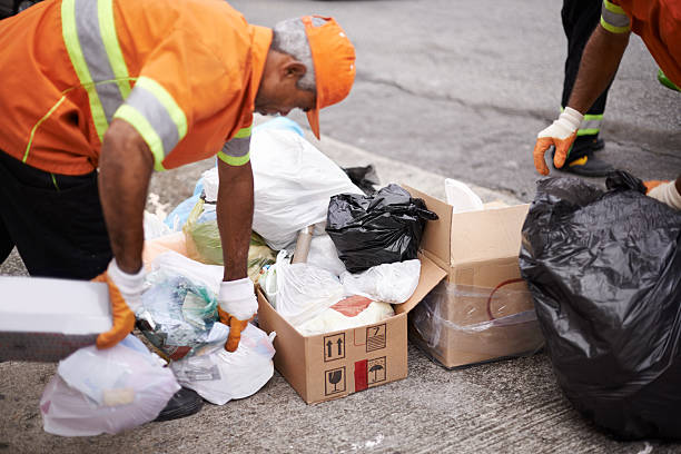 Best Hoarding Cleanup  in Flat Rock, MI